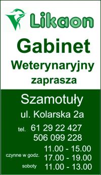 Gabinet Wertynaryjny 